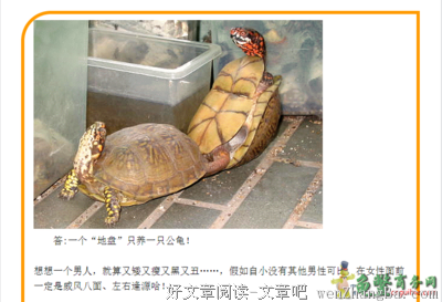 志哥