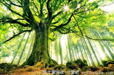 生活中的阴暗与阳光