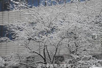 最经典的风凝雪舞经典句子