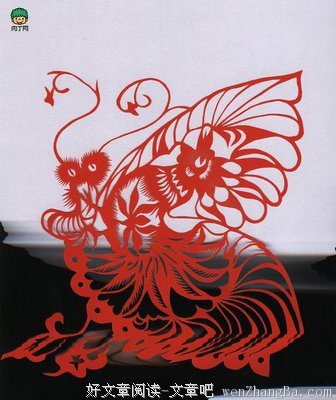 《蝴蝶》小说书摘大全