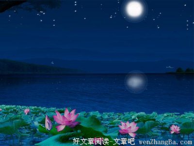 《夜色玛奇莲》经典句子大全