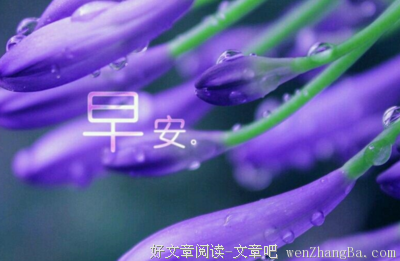 幽暗的名句_关于幽暗的名句