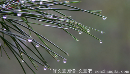 最新的《时间煮雨》经典语录大全