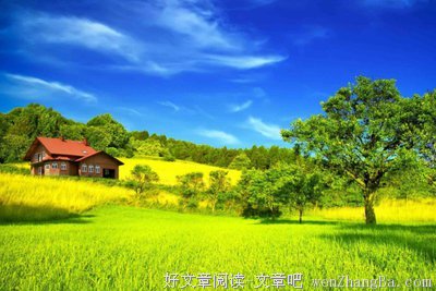 关于恬淡的格言