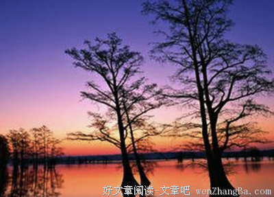 10条关于呆板的经典句子