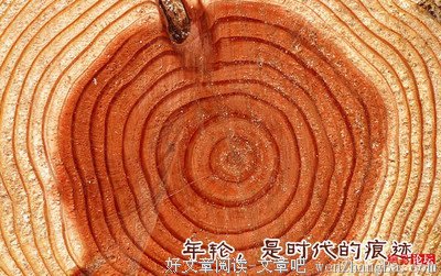 儿啊,你带走了我们的一切!