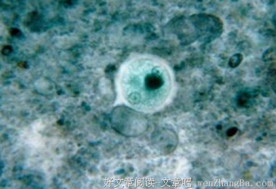 最新的《单细胞生物的一往情深。》经典语句