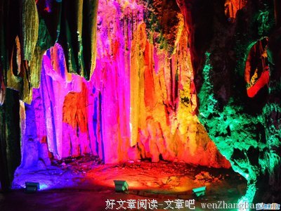 鹿影驴鸣，浩尔其的绿色希望