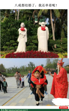 最新的八戒名言名句