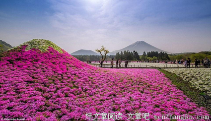 最新的《富士山下》经典语录