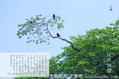 夜，无声的煎熬