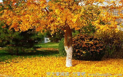 光滑的句子_关于光滑的句子