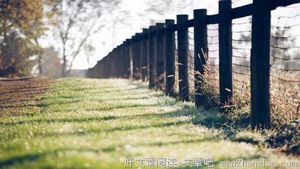心语