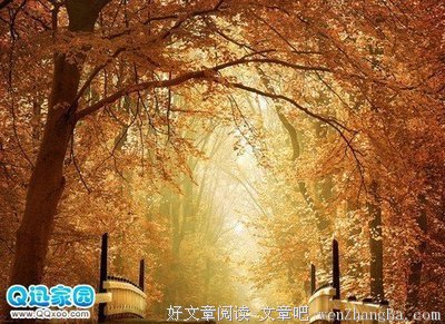 心烦时,记住这三句话,你会变很多!