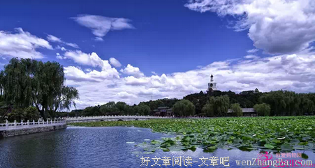 小草与楠木