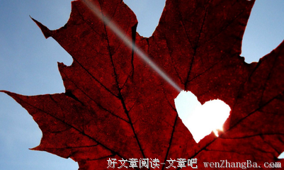 关于不错的名言