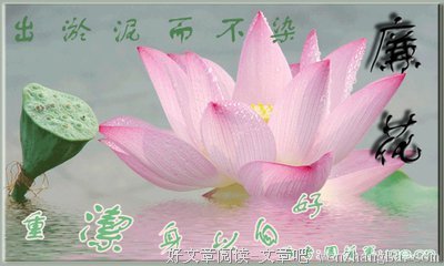 关于郑重的名言