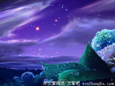 《深夜物语》经典句子