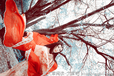最新的《蔓蔓青萝》经典语录大全