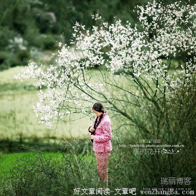 夏伤与香水缘