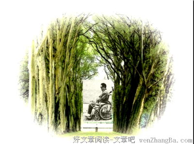 重读《我与地坛》