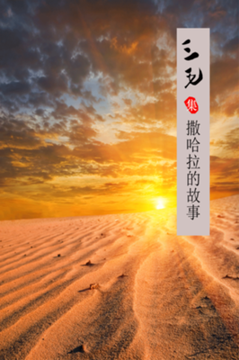 最全的《撒哈拉的故事》佳句摘抄