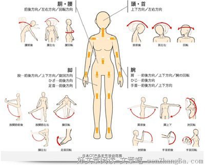 爱，就给你自由