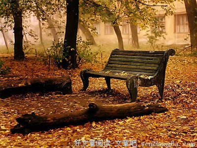 一抹忧伤，尘埃落定