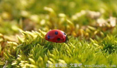 活着就要学会快乐