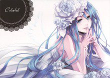 茉莉花の妲己一样盛开