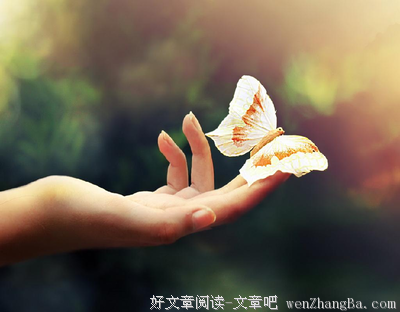 修心，不动心