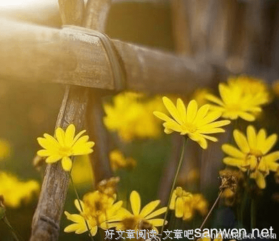 热切的句子