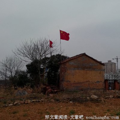 一堵墙