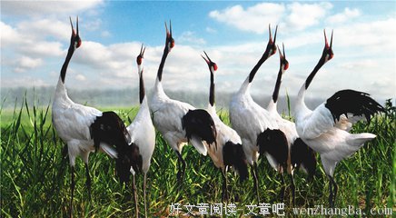 心扉