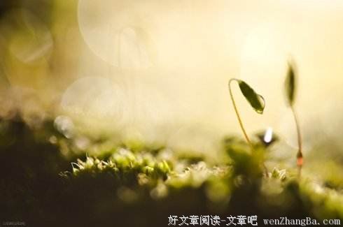 人生最经典的涵养