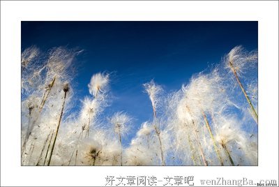 谁把人生写的如此透彻