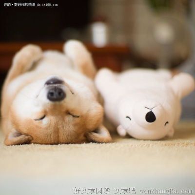 就这样睡下去吧