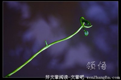 领悟