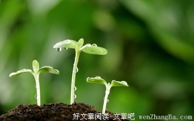 关于大度的句子