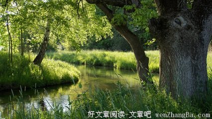 夏日的河流