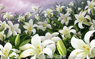 晚间的一抹清风