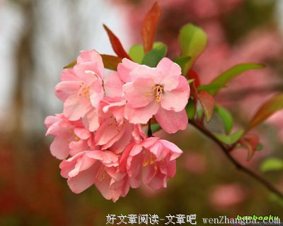 生活里的感动常在