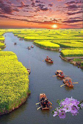 最全的《流年伴夏》佳句摘抄