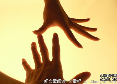 《寂寞带我去散步》佳句摘抄