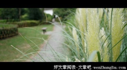 心里带着伤