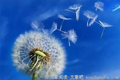 句句经典