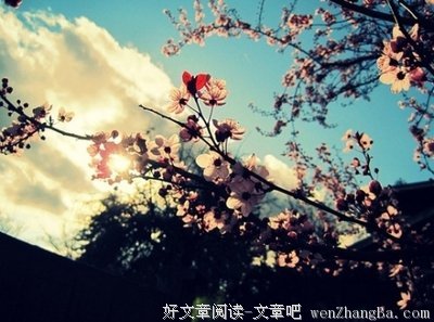 最新的海子名言大全