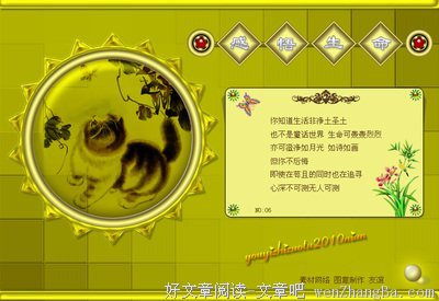 感悟生命