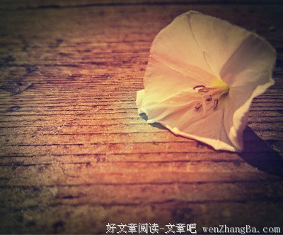 句句是上品