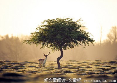 我是你的过客，你却是我的定格